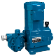 Neptune Diaphragm Hydraulic Metering Pump - 500-S Series