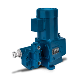 Neptune Diaphragm Hydraulic Metering Pump - 500-S Series