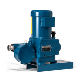 Neptune Diaphragm Hydraulic Metering Pump - 500-S Series