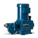 Neptune Diaphragm Hydraulic Metering Pump - 500-E Series